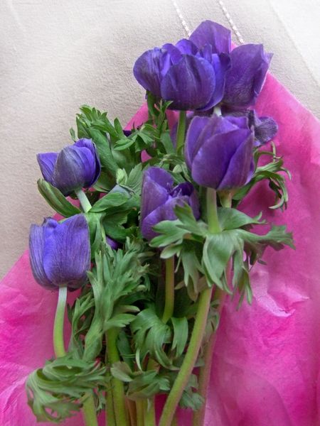 un-si-joli-bouquet.jpg