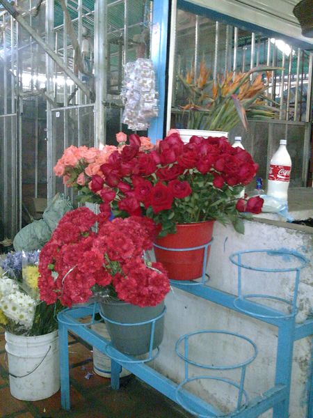 Imagen033