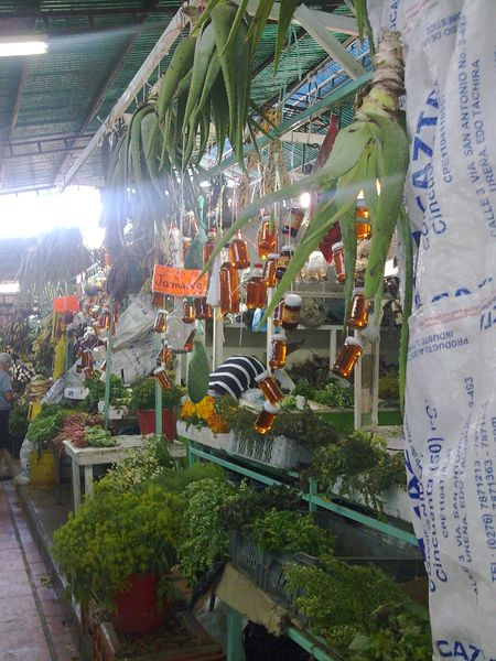 Imagen035