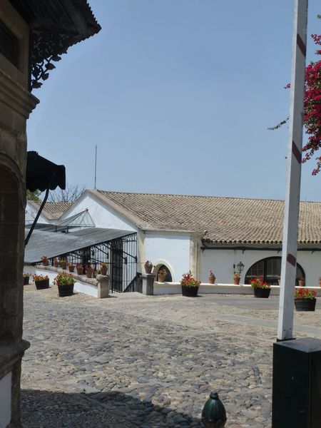 JEREZ-DE-LA-FRONTERA---Bodega-Tio-Pepe.JPG