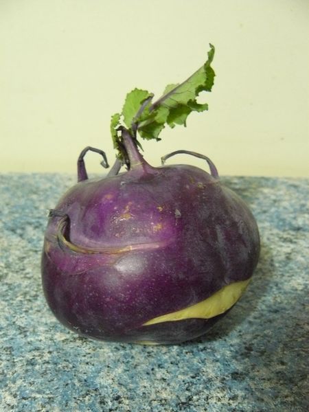 octobre-2012-007-copie-1.JPG