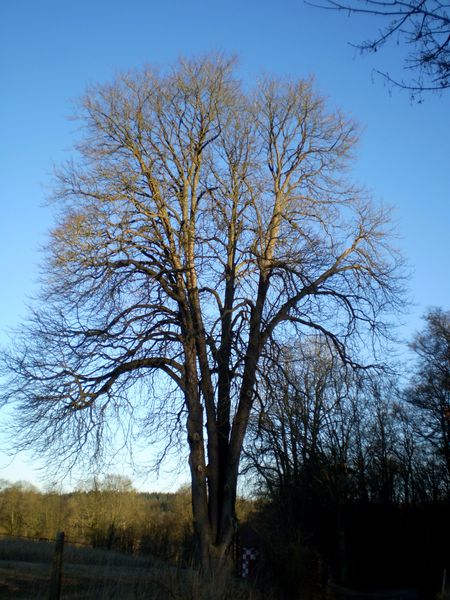 P2120686