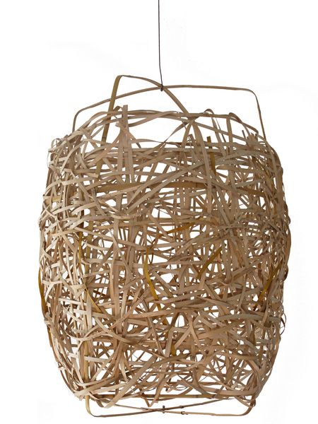Bird-s-Nest.jpg