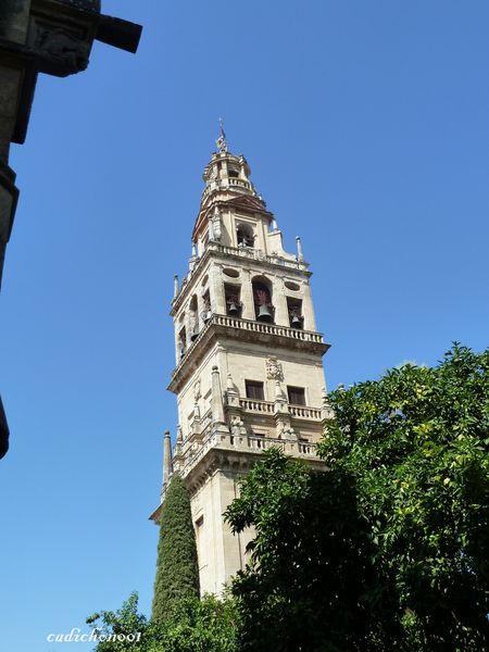 P1020281.JPG