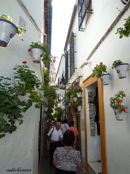 P1020317.JPG