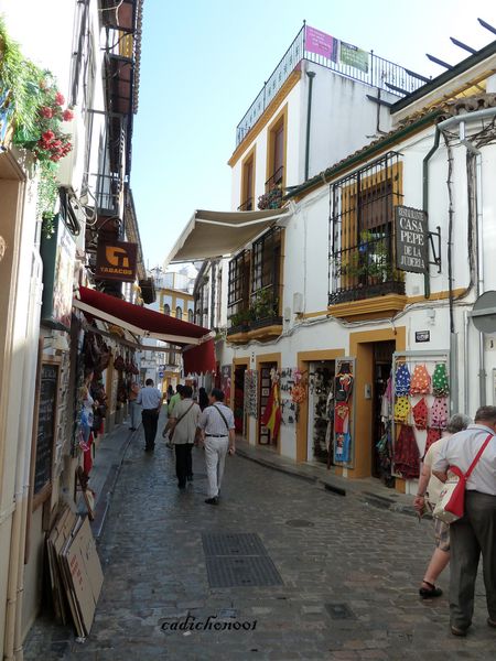 P1020319.JPG