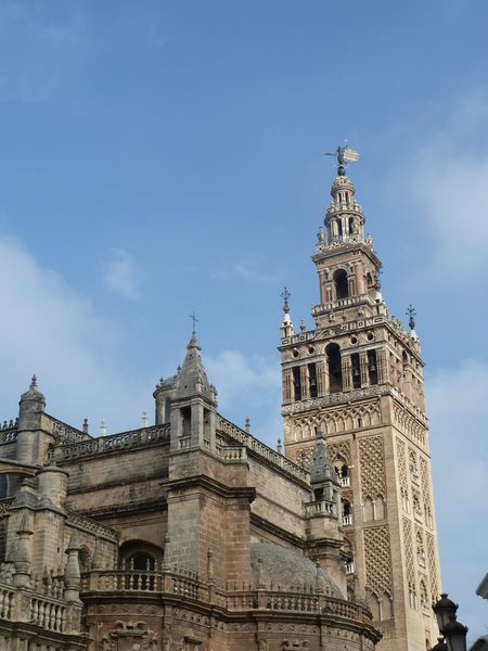 P1020364.JPG