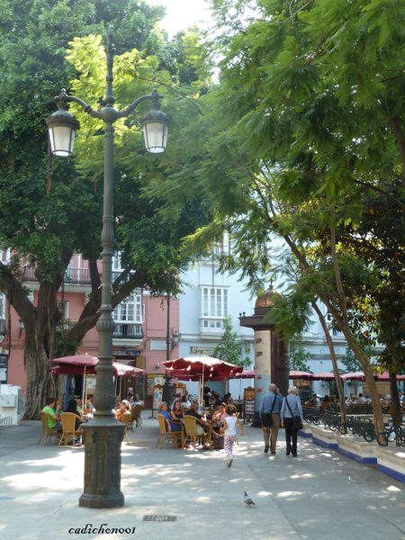 P1020430.JPG