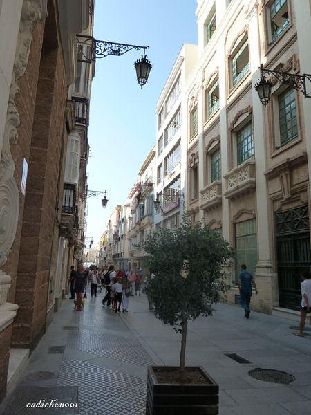 P1020434.JPG