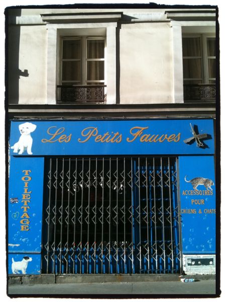 vitrine-fauve.jpg