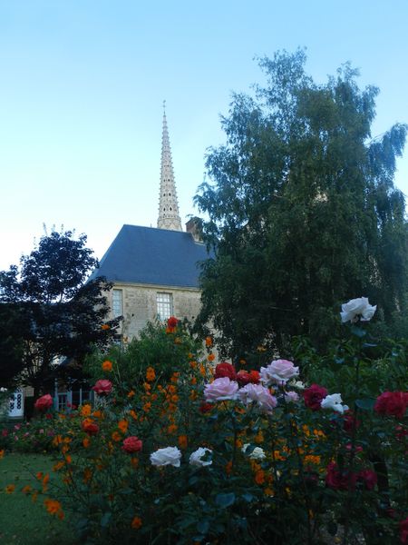 DSCN6057.jpg
