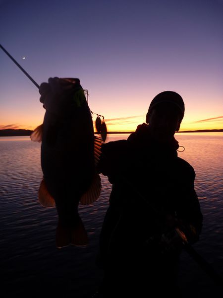 bass--3-.jpg