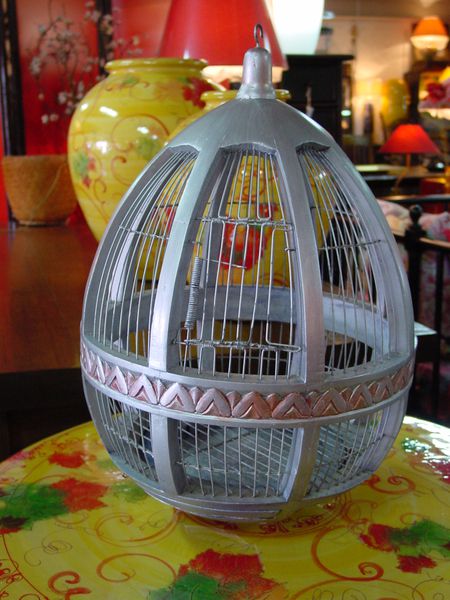 cage oiseaux 004