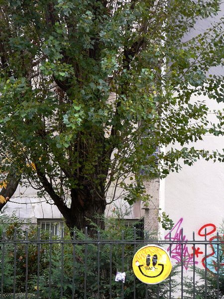 Rue de Charonne, ce sourire sur un couvercle de pot de peinture est camouflé au milieu d'autres tags