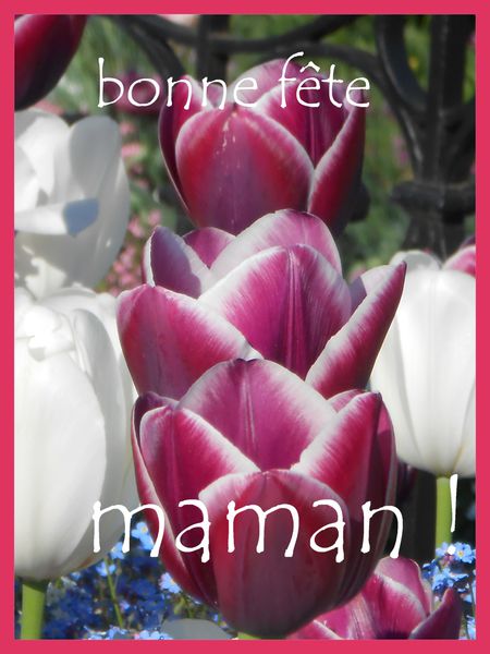 fête des mères un