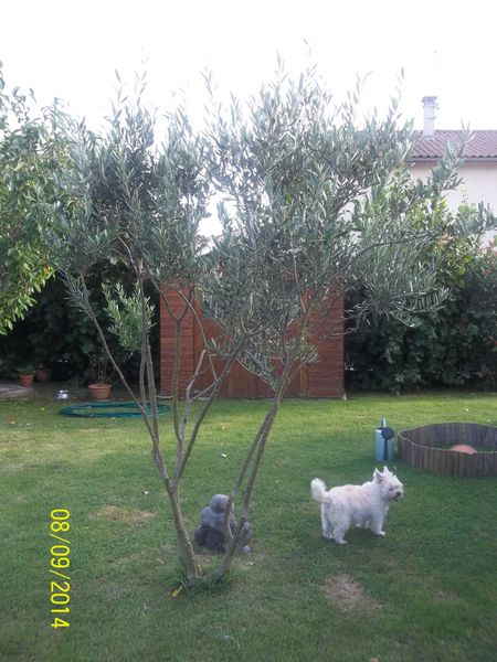 100_4705.JPG