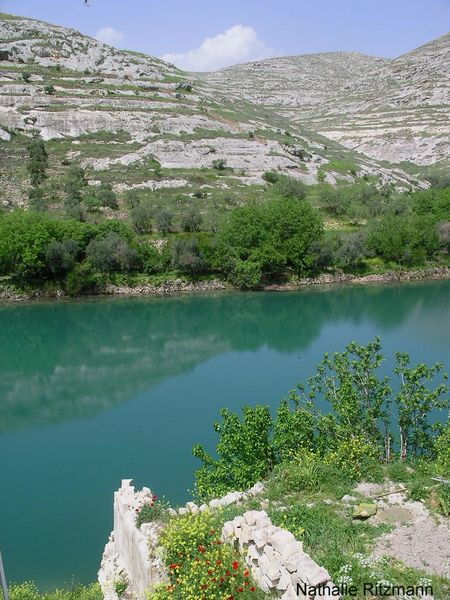 IMGP9039---les-rives-abritaient-des-jardins---Euphrate-a-H.JPG