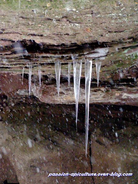 Neige 11.03.10 (14)