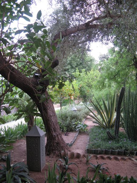 Fes-2012-Jardin-des-Biehn--restaurant-.jpg