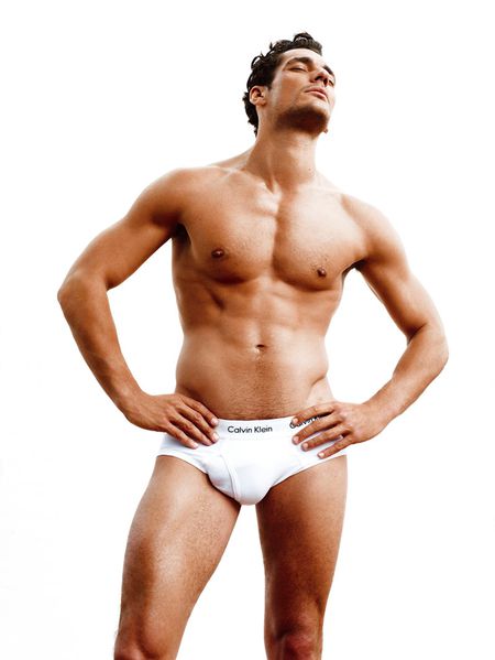 davidgandyfix1.jpg