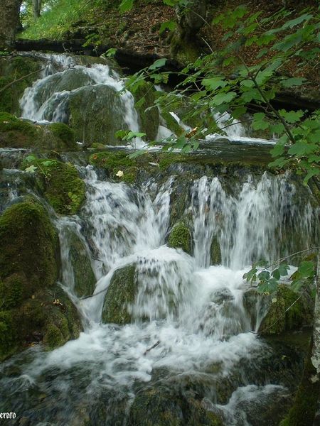 Croatie--Frederique-069.jpg