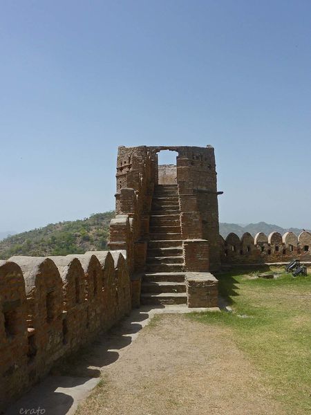 P1100364a.jpg
