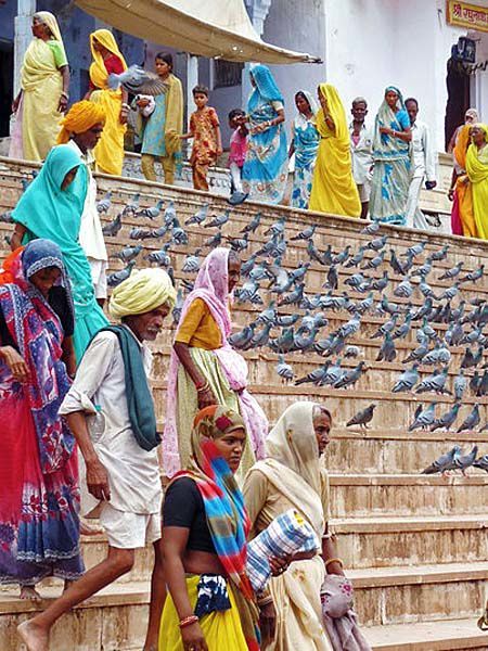 Les-ghats-.jpg