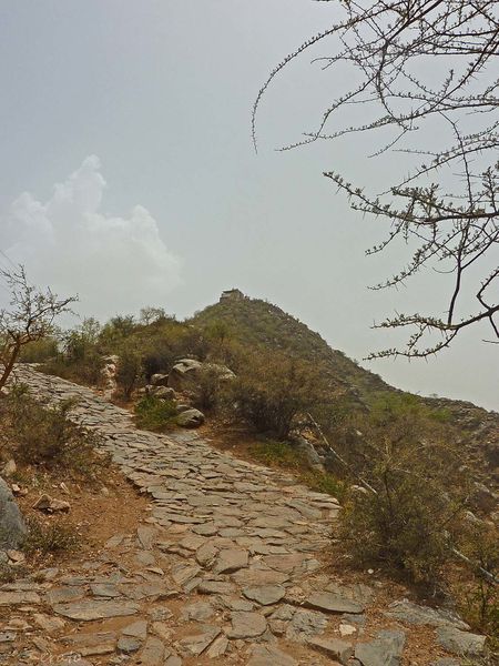 P1100850a.jpg