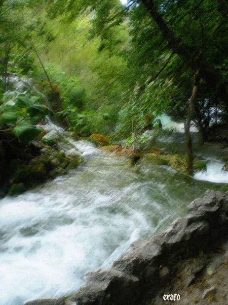 Croatie--Frederique-120-a-pastel.jpg