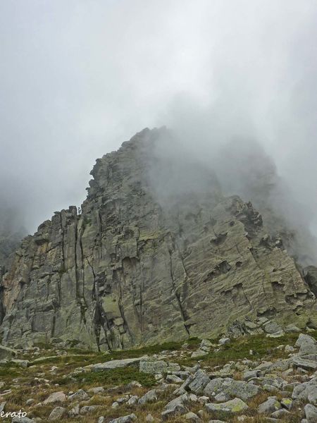 P1120619a.jpg