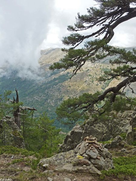 P1120633a.jpg