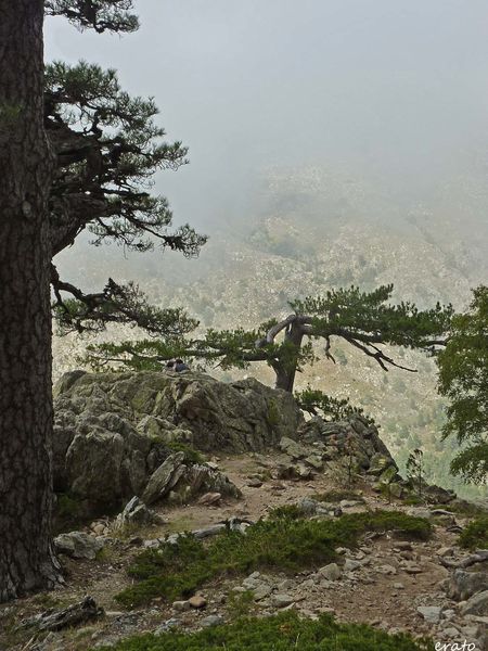 P1120634a.jpg