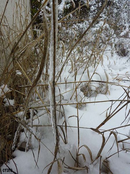 decembre-2010-111-a.jpg