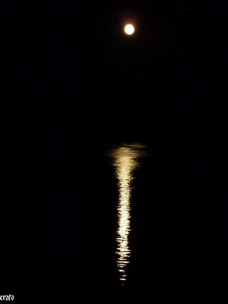 15aout2011-lune-sur-le-Rhone-003-a.jpg