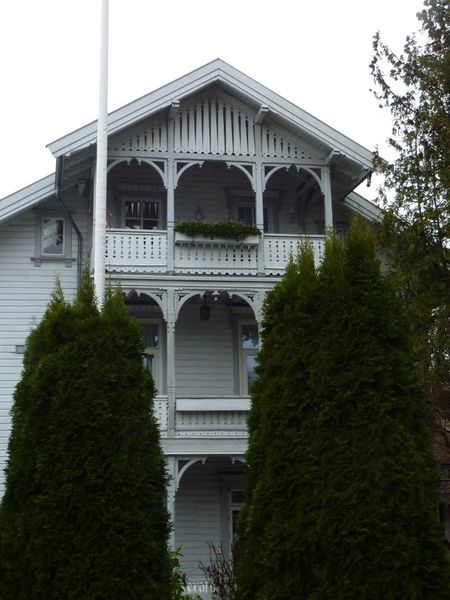 P1060551a.jpg