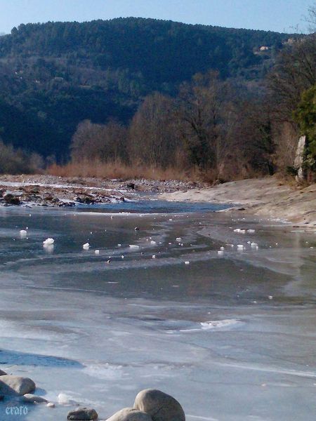 P1427_07-02-12a.jpg