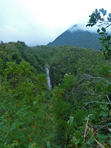 P1020533a.jpg