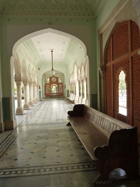 P1090130a.jpg