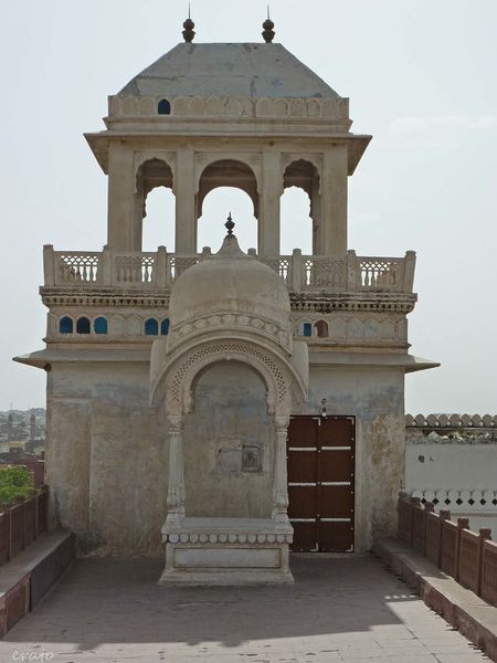 P1090376a.jpg
