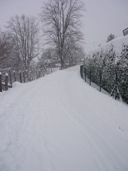 neige du 08 01 2010 017
