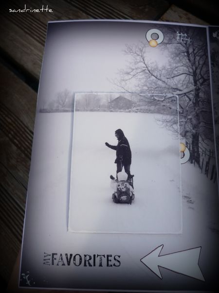 Mini-HIVER-016.jpg