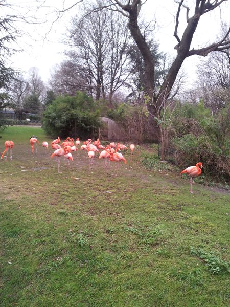 2012-01-01-15.13.22.jpg
