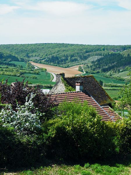 Vézelay (74)