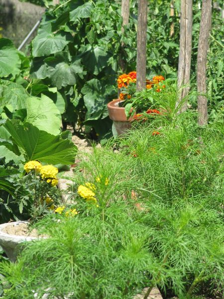 juin2011 6410