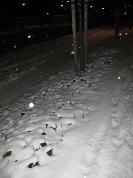 neige