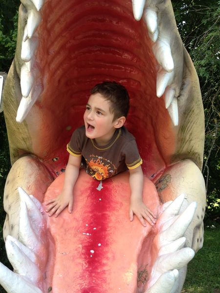 dino-zoo 1006