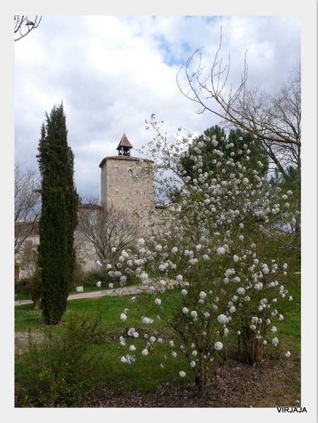 2011-03-27 gers3-copie-6