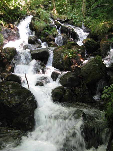 Pyrenees-2012 0764