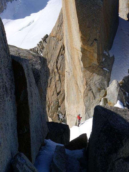 Cosmiques 12