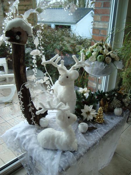 noel-2009-133.JPG